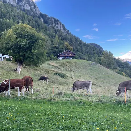 Gramimmo - La Cascade